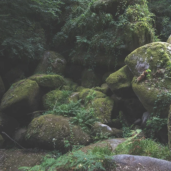 <strong>Paysages #2610 - Huelgoat | 29</strong> <small>© Rémy SALAÜN</small>