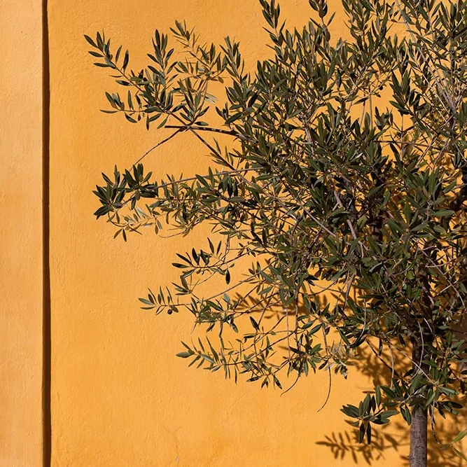 <strong>Architectures #927 - Aix-en-Provence | 13</strong> <small>© Rémy SALAÜN</small>