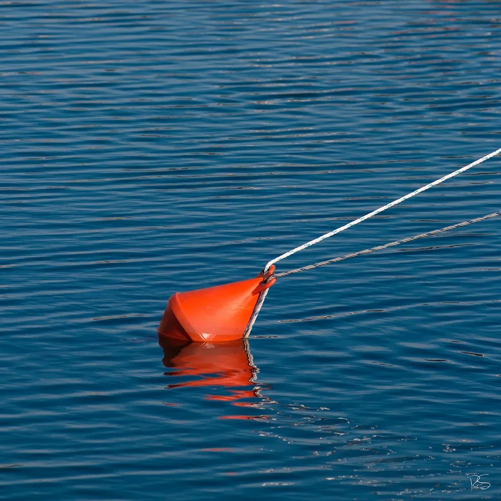 <strong>Reflets #355 - Sète | 34</strong> <small>© Rémy SALAÜN</small>