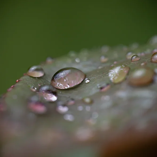 <strong>Après la Pluie #1234 - </strong> <small>© Rémy SALAÜN</small>