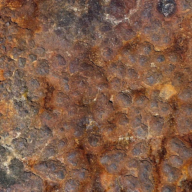 <strong>Textures #1264 - Le Minihic-sur-Rance | 35</strong> <small>© Rémy SALAÜN</small>