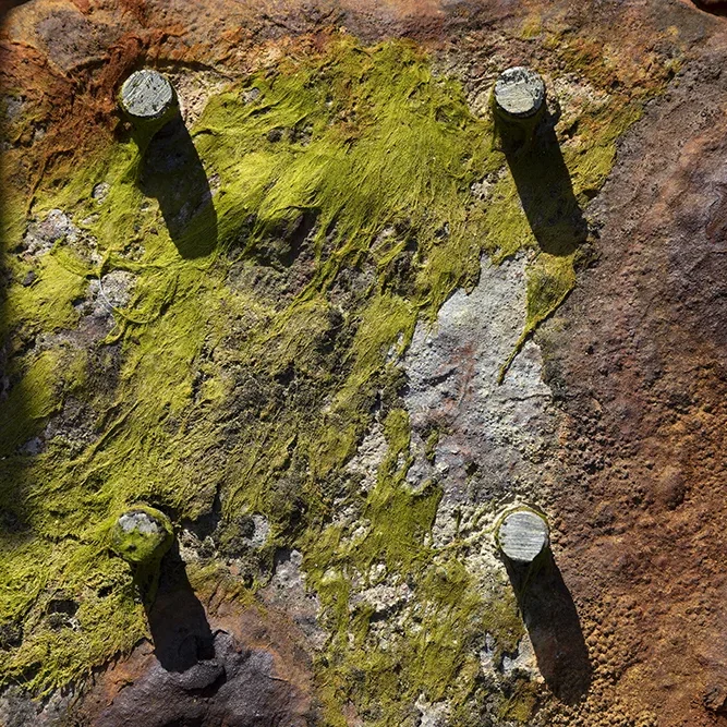 <strong>Textures #1263 - Le Minihic-sur-Rance | 35</strong> <small>© Rémy SALAÜN</small>