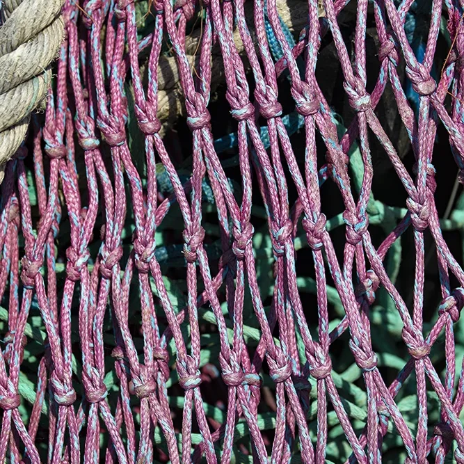 <strong>Couleurs des Ports #596 - Le Guilvinec | 29</strong> <small>© Rémy SALAÜN</small>