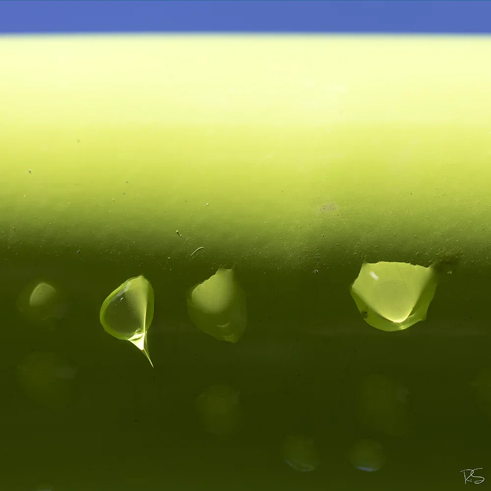 <strong>Après la Pluie #1233 - </strong> <small>© Rémy SALAÜN</small>