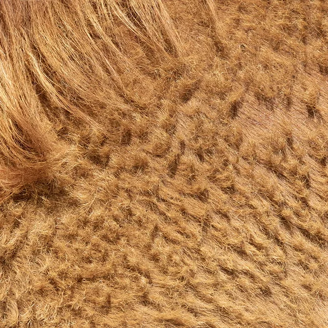 <strong>Animalité #2456 - </strong> <small>© Rémy SALAÜN</small>