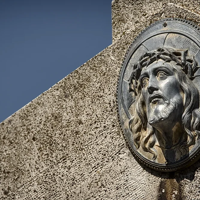 <strong>Chers Disparus #263 - </strong> <small>© Rémy SALAÜN</small>