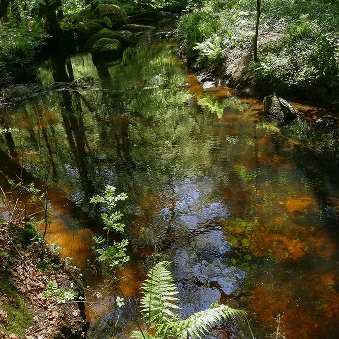 <strong>Paysages #1128 - Huelgoat | 29</strong> <small>© Rémy SALAÜN</small>