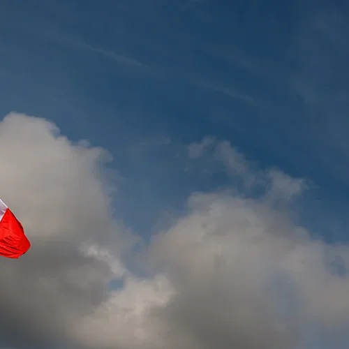 <strong>Mémoires #1759 - </strong> <small>© Rémy SALAÜN</small>