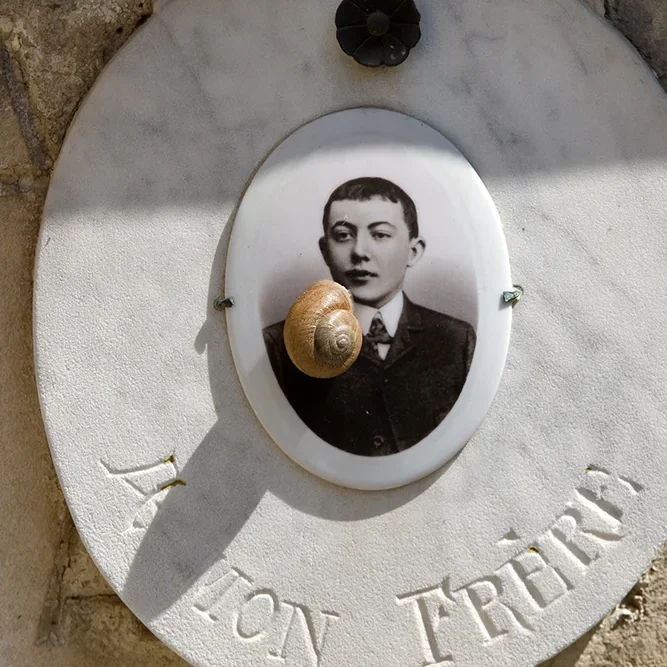 <strong>Chers Disparus #264 - </strong> <small>© Rémy SALAÜN</small>