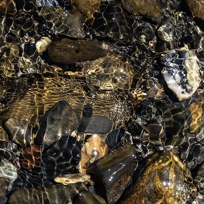 <strong>Fluides #2468 - </strong> <small>© Rémy SALAÜN</small>