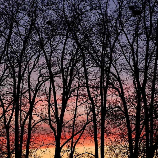 <strong>Paysages #1131 - Aix-en-Provence | 13</strong> <small>© Rémy SALAÜN</small>