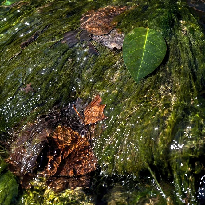 <strong>Fluides #1429 - </strong> <small>© Rémy SALAÜN</small>