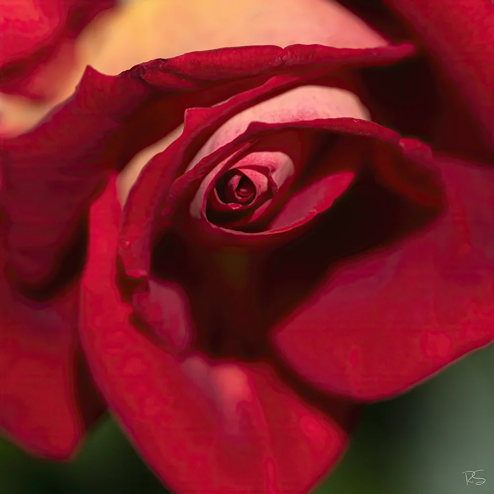 <strong>Flore #1448 - </strong> <small>© Rémy SALAÜN</small>