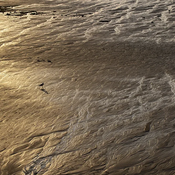 <strong>Vue Sur Mer #644 - Granville | 50</strong> <small>© Rémy SALAÜN</small>