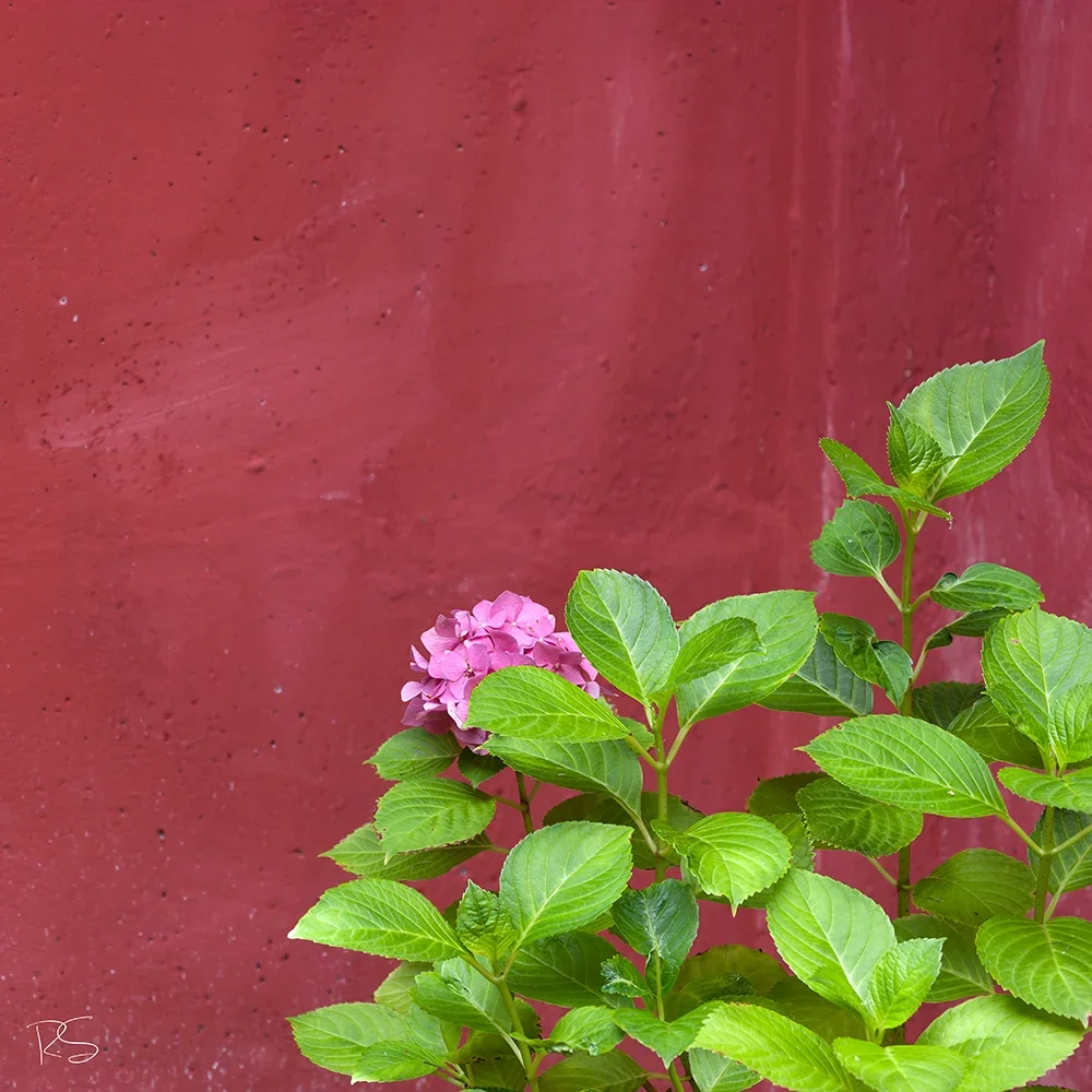 <strong>Pérégrinations #1806 - Bordeaux | 33</strong> <small>© Rémy SALAÜN</small>