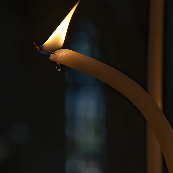 <strong>Lumières #1856 - Tours | 37</strong> <small>© Rémy SALAÜN</small>