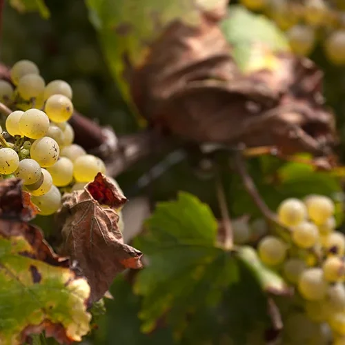 <strong>Paysages #1168 - Crogis | 02</strong> <small>© Rémy SALAÜN</small>