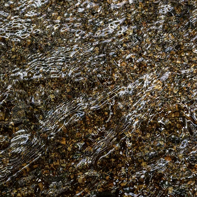 <strong>Fluides #2492 - </strong> <small>© Rémy SALAÜN</small>