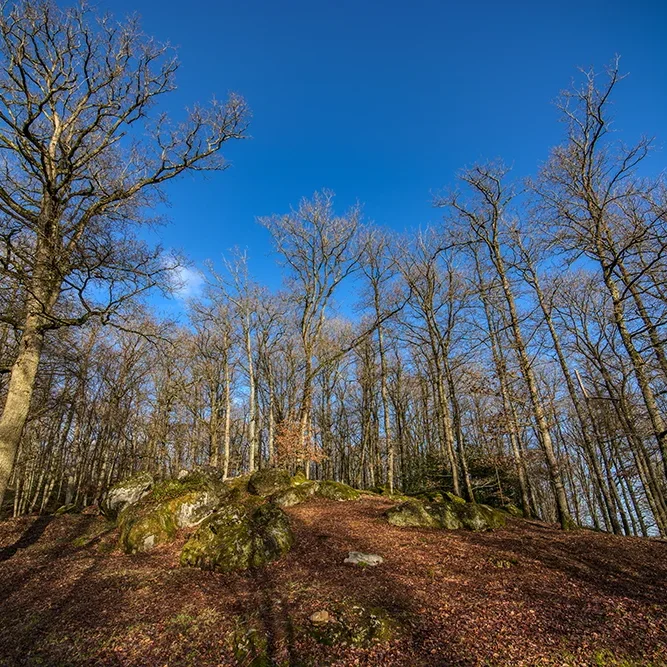 <strong>Paysages #1166 - Belleau | 02</strong> <small>© Rémy SALAÜN</small>